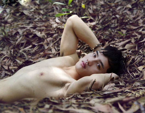 Chinh Nguyễn lạc lõng giữa rừng hoang