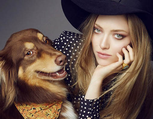 Amanda Seyfried cuốn hút ánh nhìn
