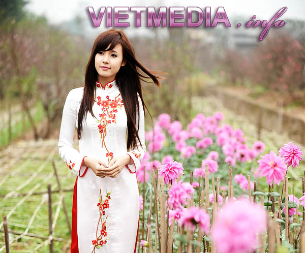 Mi Du đón xuân Hà Nội
