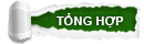 Tổng Hợp